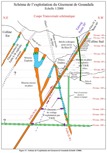 Schematic of the historic exploitation at the Goundafa mine